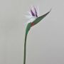 Fiore artificiale uccello del paradiso CHAYA, bianco-viola, 85 cm