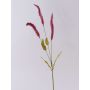 Ramo decorativo di erba Liriope JELIKANTA con pannocchie, rosso bordeaux, 75 cm
