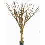 Tronco di albero sintetico MAKOA, con rami, marrone, 220cm