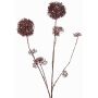 Ramo di skimmia artificiale LOBUS, rosso scuro, 90cm, Ø4-8,5cm