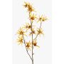 Ramo artificiale di hamamelis ORAFA con fiori, giallo ocra, 80cm, Ø4-8cm