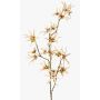Ramo artificiale di hamamelis ORAFA con fiori, beige, 80cm, Ø4-8cm