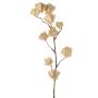 Ramo artificiale di physalis AINOS, frutti, glitter, crema, 80 cm