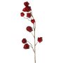 Ramo artificiale di Physalis AINOS, frutti, glitter, rosso bordeaux, 80 cm