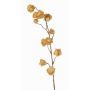 Ramo artificiale di Physalis AINOS, frutti, glitter, beige, 80cm