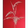 Ramo decorativo di Asparagus plumosus GIONA, argento, 85cm