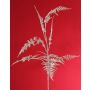 Ramo decorativo di Asparagus plumosus GIONA, argento, 85 cm