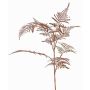 Ramo decorativo Asparagus plumosus GIONA, rame, 85cm