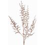 Ramo artificiale Asparagus acutifolius PARNASO, rame, 100cm