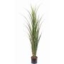 Erba artificiale canna da zucchero SITHAMI, crossdoor, verde, 115 cm
