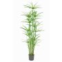 Erba cipriota artificiale LEITHA, verde, 150cm