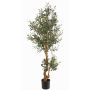 Olivo finto LAILANA, frutti, tronco artificiale, 150cm