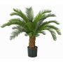 Palma decorativa Cycas SLITAL, 80cm