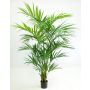 Palma Kentia artificiale PAIGE, 220 cm