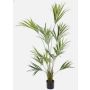 Palma Kentia artificiale PAIGE, 185cm