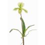 Orchidea Paphiopedilum artificiale VELANA, bastoncino, verde-bianco, 40cm
