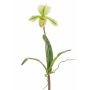 Orchidea Paphiopedilum artificiale VELANA, bastoncino, verde-bianco, 40 cm