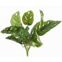 Filodendro artificiale Monstera adansonii ARKADIO, bastone, 40cm