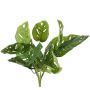 Filodendro artificiale Monstera adansonii ARKADIO, bastone, 40 cm