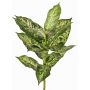 Dieffenbachia artificiale VISP, difficilmente infiammabile, bastoncino, verde-bianco, 40cm