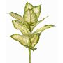 Dieffenbachia artificiale VISP, difficilmente infiammabile, bastoncino, verde-crema, 40cm