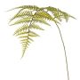 Foglia di felce artificiale HINWIL, verde, 80 cm