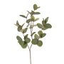 Ramo artificiale eucalipto EMMENDA, verde, 80 cm