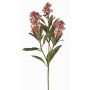 Ramo artificiale skimmia LAUSANA con fiori, malva, 65cm, Ø7cm