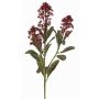Ramo artificiale di skimmia LAUSANA con fiori, rosso bordeaux, 65cm, Ø7cm
