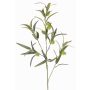 Ramo di euforbia TASMIN, frutti, verde, 95cm