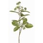 Ramo di corniolo artificiale PANGO con gemme, verde-bianco, 70cm, Ø7cm