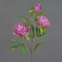 Ramo di peonia artificiale MANJA, rosa antico-rosa, 70 cm, Ø 8-10 cm