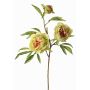 Ramo di peonia artificiale MANJA, verde-fucsia, 70cm, Ø8-10cm