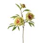 Ramo di peonia artificiale MANJA, verde-rosa, 70 cm, Ø 8-10 cm