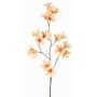 Ramo di fiori artificiali Campanula AURINA, pesca, 90cm