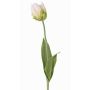 Fiore artificiale tulipano papagallo UAKARI, bianco-verde, 65cm, Ø6cm