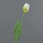 Fiore artificiale tulipano papagallo UAKARI, bianco-verde, 65 cm, Ø 6 cm
