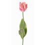 Fiore artificiale tulipano papagallo UAKARI, rosa-crema-verde, 65cm, Ø6cm
