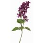 Ramo decorativo lillà ADMIR, viola scuro, 80cm, Ø6-9cm