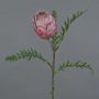 Protea finta BREGANSA, rosa antico, 65 cm, Ø 8 cm