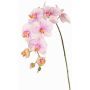 Ramo decorativo orchidea Phalaenopsis WESA, rosa-bianco, 100 cm