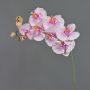 Ramo decorativo orchidea Phalaenopsis WESA, rosa-bianco, 100 cm
