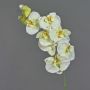 Ramo decorativo orchidea Phalaenopsis WESA, bianco-verde, 100 cm
