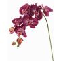 Ramo decorativo orchidea Phalaenopsis WESA, viola scuro-bianco, 100 cm