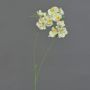 Ramo artificiale orchidea Phalaenopsis VILLANI, bianco-verde, 65 cm