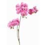 Ramo artificiale di orchidea Phalaenopsis VILLANI, rosa-fucsia, 60cm, Ø3,5-5cm