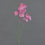 Ramo artificiale di orchidea Phalaenopsis VILLANI, rosa-rosa, 65 cm