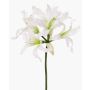 Fiore artificiale amarillide da giardino KUSTANA, bianco-verde, 70cm, Ø10-16cm