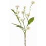 Fiore di campo artificiale HOLLA, bianco, 55cm, Ø3-4cm