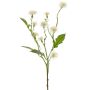 Fiore di campo artificiale HOLLA, bianco, 55 cm